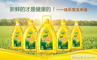 佳乐宝玉米油 品牌、价格与品质全解析